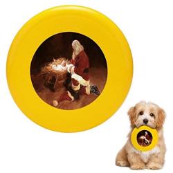 Pet Frisbee Flying Disc Dog Toy - Multifunction First Christmas Mark Spears