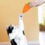 CiyvoLyeen Easter Spring Cat Catnip Kitten Chew Bite Toys Interactive Pillows Teeth Plush Plaything for Cat Gift Cat Lover Funny Pets Supplies Set of 6