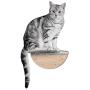 MYZOO Round Lack Clear : Wall Mounted Cat Shelf, Wooden Cat Furniture, Floating Cat Perch, Cat Tree