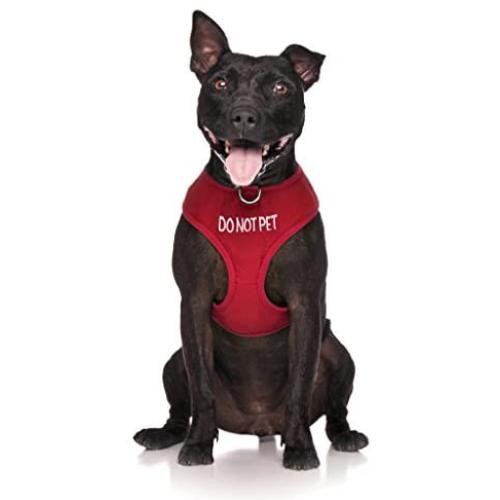 Dexil Limited DO NOT PET Red Color Coded Non-Pull Front and Back D Ring Padded and Waterproof Vest Dog Harness Prevents Accidents by Warning Others of Your Dog in Advance