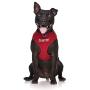 Dexil Limited DO NOT PET Red Color Coded Non-Pull Front and Back D Ring Padded and Waterproof Vest Dog Harness Prevents Accidents by Warning Others of Your Dog in Advance