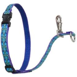 LupinePet Originals 3/4'' No Pull Harness 16-26'' for Small to Medium Dogs