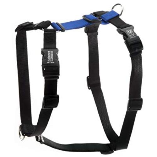 Blue-9 Pet Products Buckle-Neck Balance Harness, 6-Point Adjustable No-Pull Harness, Ideal for Dog Training, Made in The USA, Blue, Medium