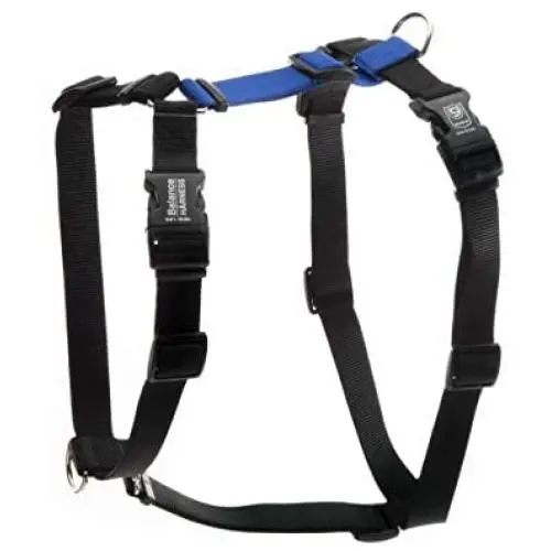 Blue-9 Pet Products Buckle-Neck Balance Harness, 6-Point Adjustable No-Pull Harness, Ideal for Dog Training, Made in The USA, Blue, Medium