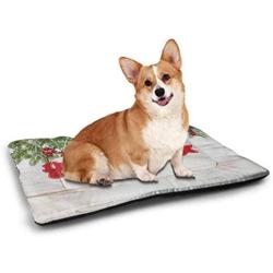 DayDayFun Christmas Pet Mat for Crate Merry Christmas Cartoon with Santa Snowman Pines Houses Winter Pet Mats for Food and Water Almond Green Eggshell Red