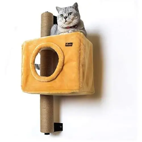 BIG NOSE- Wall Mounted Cat Condos Tree House BIG NOSE- Wall Mounted Cat Condos Tree House