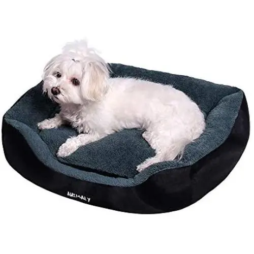 Animaly Fluffy pet Bed, a Soft Bed for a Dog, a Cozy mat for a cat, a Travel Bed, an Anti-Allergic playpen for Pets, a Universal Bed for a Small Dog or cat Animaly Fluffy pet Bed, a Soft Bed for a Dog, a Cozy mat for a cat, a Travel Bed, an Anti-Allergic playpen for Pets, a Universal Bed for a Small Dog or cat