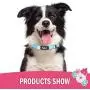 PUPTECK Cute Dog Collar for Small Dogs - 2 Pack Adjustable Flowers Dog Collars - Soft Mesh Dog Harness Pet Puppy Comfort Padded Vest No Pull Harnesses PUPTECK Cute Dog Collar for Small Dogs - 2 Pack Adjustable Flowers Dog Collars - Soft Mesh Dog Harness Pet Puppy Comfort Padded Vest No Pull Harnesses