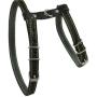 Dogs My Love Real Leather Feline Harness, 12''-15'' Chest Size, 3/8'' Wide, Small to Medium Cats