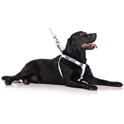 Deaf Dog White Color Coded L-XL Non pull Dog Harness Prevents Accidents By Warning Others of Your Dog in Advance