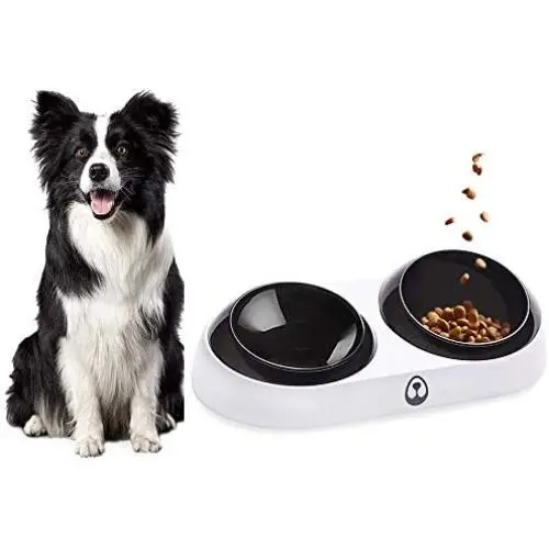  Dog and Cat Bowl for Food&Water Adjustable 15 Degree Tilt Angle Pet Feeding Bowl Anti-Slip Pet Bowl