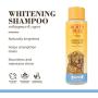Burts Bees for Dogs Natural Whitening Shampoo with Papaya and Yogurt | Puppy and Dog Shampoo, 16 Ounces
