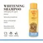 Burts Bees for Dogs Natural Whitening Shampoo with Papaya and Yogurt | Puppy and Dog Shampoo, 16 Ounces Burts Bees for Dogs Natural Whitening Shampoo with Papaya and Yogurt | Puppy and Dog Shampoo, 16 Ounces