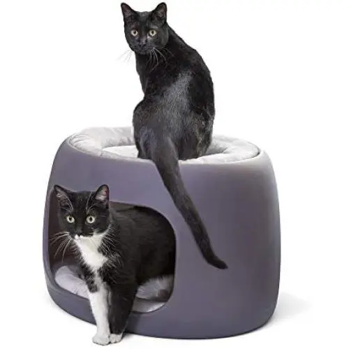 Step2 Furry Friends Bunk Bed | Multi-Level Pet Bed for Dogs and Cats Step2 Furry Friends Bunk Bed | Multi-Level Pet Bed for Dogs and Cats