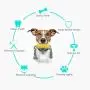 CHZHENG Corn Shape Molar Toys, Bite Resistant Dog Chew Toothbrush Pet Toothbrush Toy with Rope for Small/Medium/Large Dogs CHZHENG Corn Shape Molar Toys, Bite Resistant Dog Chew Toothbrush Pet Toothbrush Toy with Rope for Small/Medium/Large Dogs