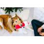 Pearhead Pet Dog Toy, Holiday Stocking Stuffer Christmas Gifts for Pet