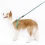 PAWABOO Dog Leash Harness Set, Durable Adjustable Heavy Duty No Pulling Dog Harness + Leash for Pet Dog Training Walking Running.