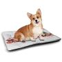 DayDayFun Christmas Dog Mat Train with Gingerbread Cream Candy Cartoon Toys Snowflakes Presents Pet Mats for Food and Water White Brown Vermilion