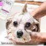 Spina Organics, Itch-Relief Dog and Cat Shampoo with Aloe Vera and Other Organic Essential Oils for Dry, Itchy Skin, Dermatitis, Dandruff, and Allergies - Made in The USA 17 Fl Oz