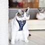 CATSPIA Darke A Harness