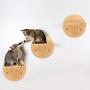Bitcircuit Wall Mounted Cat Shelf, Wooden Cat Perch Platform Steps, Floating Perch Step Bed Pet Play Furniture