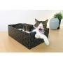 Purrfect Cat Box , Blue