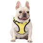 Peanuts for Pets Charlie Brown Yellow Dog Harness, Size Large | Large Striped Dog Harnesses for Large Dogs | No Pull Dog Harness, Dog Apparel & Accessories for All Dogs (FF15723)