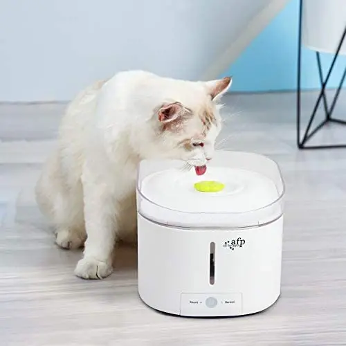 ALL FOR PAWS Automatic Cat Water Fountain Dog Water Dispenser Pet