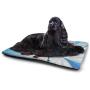 DayDayFun Hockey Cute Pet Mat Grungy Retro Style Halftone Background with a Goaltender Figure in Circle Non-Slip Dog Pads Pale Blue Black White