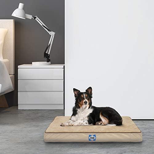 Sealy Ultra Plush Dog Bed - Orthopedic Foam pet Bed