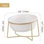 LIONWEI LIONWELI Glass Tilted Elevated Cat Dog Bowl Raised Cat Food Water Bowl Dish Pet Comfort Feeding Bowls with Gold Iron Stand