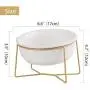 LIONWEI LIONWELI Glass Tilted Elevated Cat Dog Bowl Raised Cat Food Water Bowl Dish Pet Comfort Feeding Bowls with Gold Iron Stand LIONWEI LIONWELI Glass Tilted Elevated Cat Dog Bowl Raised Cat Food Water Bowl Dish Pet Comfort Feeding Bowls with Gold Iron Stand