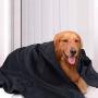 SUNLAND Microfiber Dog Towel Ultra Soft Pet Bath Towel Super Absorbent Pet Drying Towel for Small Medium Large Dogs and Cats 30Inch x 50Inch