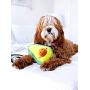 ZippyPaws Avocado Squeaker Toy & 6'' Fun Food Taco Plush Dog Chew Bundle