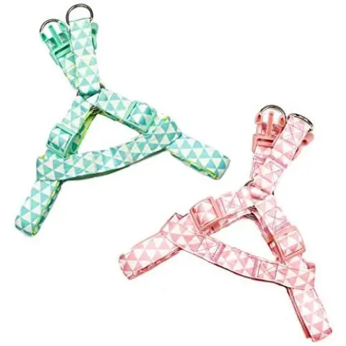 Hooray Paws - Dog Harness for Small Dogs Harness for Medium Dogs Puppy Harness for Medium Dog Training Harness for Large Dog Green Harness Pink Harness Dog Collar and Dog Leash Compatible