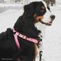 Coastal Pet Walk Right! Front-Connect No More Pull Padded Dog Harness Pink Bright LRG (26''-38'')