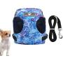 VILLCASE Dog Vest Harness and Leash Set for Walking Escape Proof Small Cat and Dog Harness Breathable Pet Pulling Strap with Reflective Strap Comfort Fit for Pet Kitten Puppy Rabbit (Blue, Size XS)