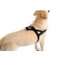ComfortFlex American Made Quick Fit Fully Padded Non-Chafing Reflective Sport Dog Harness for Active Dogs