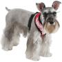 Puppia Authentic Flame Harness, Purple, Small