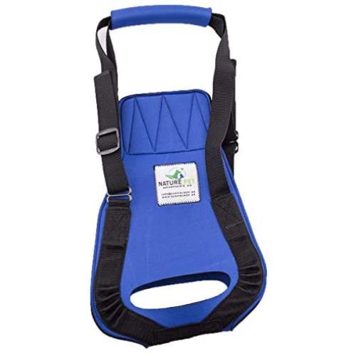Pfaff Medical Dog Rear Carrier/Lifting Harness Blue (XL Blue)