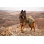 Tactical Dog Service Training Harness with 3 Detachable Pouches Molle Adjustable K9 Vest Harness