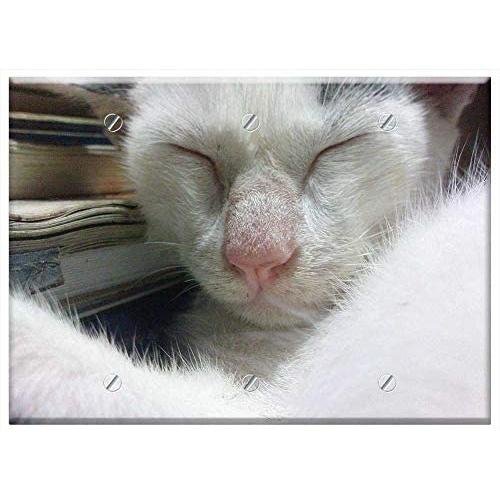 Triple Blank Wall Plate Cover - Cat Cute Nose Kitten Feline Kitty Pet Animal Triple Blank Wall Plate Cover - Cat Cute Nose Kitten Feline Kitty Pet Animal