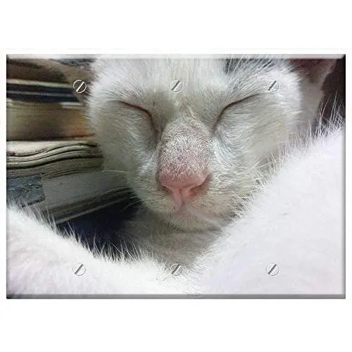 Triple Blank Wall Plate Cover - Cat Cute Nose Kitten Feline Kitty Pet Animal