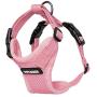 Voyager Step-in Lock Pet Harness – All Weather Mesh, Adjustable Step in Harness for Cats and Dogs by Best Pet Supplies