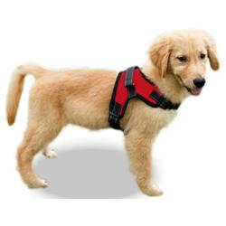 Copatchy No Pull Reflective Adjustable Dog Harness with Handle