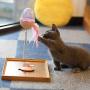 ocijf179 Cat Spring Ball Toy Tumbler Swinging Spring Ball Flash Teasing Toy with Bell Feather Cat Pet Toy - Green
