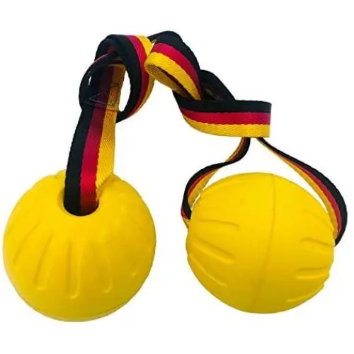 BTFLKNS 2Pcs Diameter 3.54inch Large Dog Rope Ball, Foam Ball on a Rope Dog Toy can Floats in Water, for Small and Large Dogs Interactive, Tugging Ball Toys(Yellow) BTFLKNS 2Pcs Diameter 3.54inch Large Dog Rope Ball, Foam Ball on a Rope Dog Toy can Floats in Water, for Small and Large Dogs Interactive, Tugging Ball Toys(Yellow)