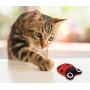 PetLike Catnip Toys Plush Interactive Cat Toys with Catnip Inside, Tooth Cleaning Catnip Toy Fish Buttefly Bird Mouse Cute Cat Toys for Kitty Indoor Cats 6 Pack