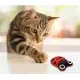PetLike Catnip Toys Plush Interactive Cat Toys with Catnip Inside, Tooth Cleaning Catnip Toy Fish Buttefly Bird Mouse Cute Cat Toys for Kitty Indoor Cats 6 Pack PetLike Catnip Toys Plush Interactive Cat Toys with Catnip Inside, Tooth Cleaning Catnip Toy Fish Buttefly Bird Mouse Cute Cat Toys for Kitty Indoor Cats 6 Pack