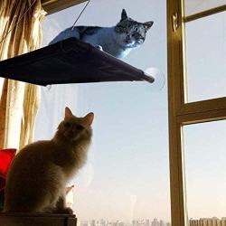 VWMYQ Cat Hammock Cat Window Perch Cat Window Seat Bed Removable Pet Resting Seat Safety Cat Bed Suction Cups withWall Corner and Three Little mice